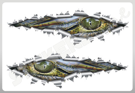 bandiera coccodrillo