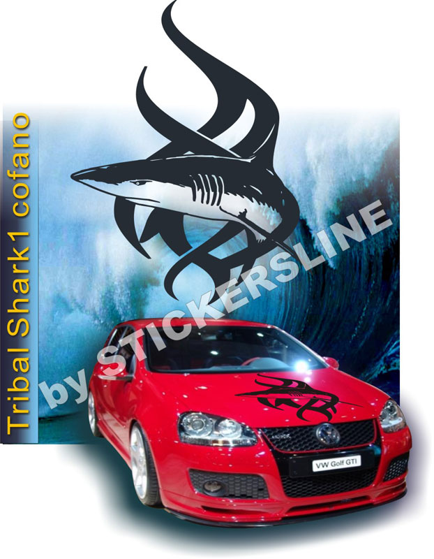 tribal_shark_1_cofano.jpg